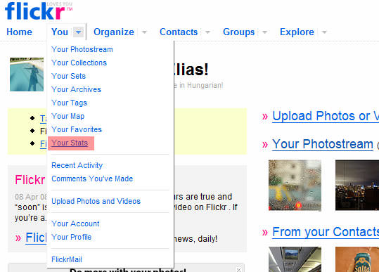 Flickr Stats