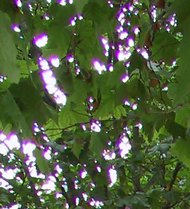 Aberración cromática