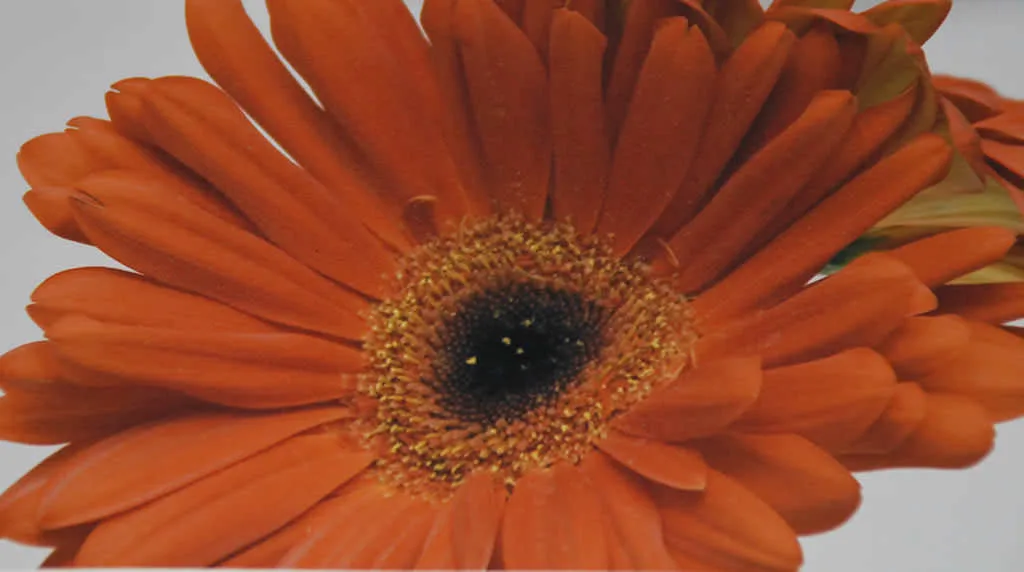 Papel fotográfico chino 128grs