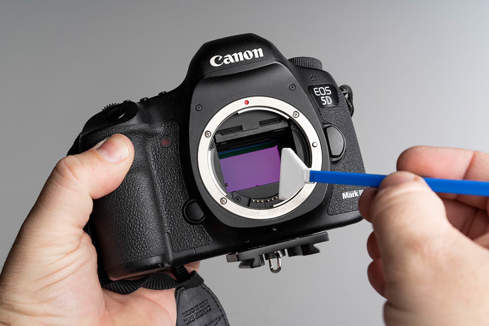 Cómo el sensor de una cámara digital | fotogeek