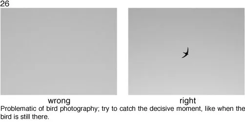 Fotografía para idiotas