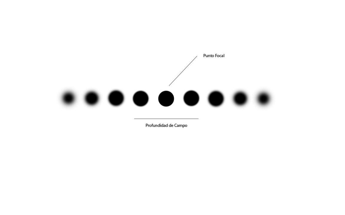 DOF_1