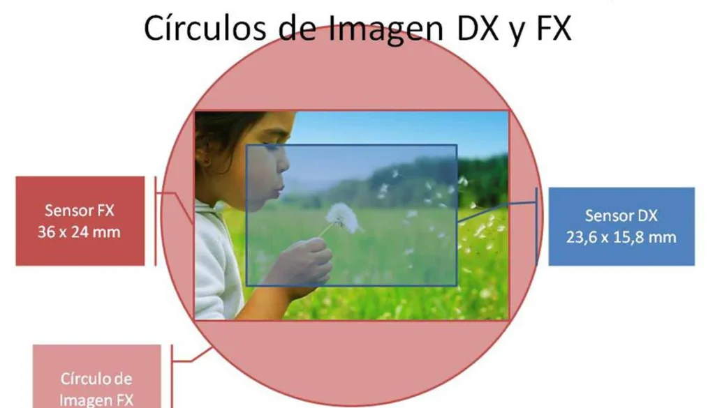 Sensores DX vs FX