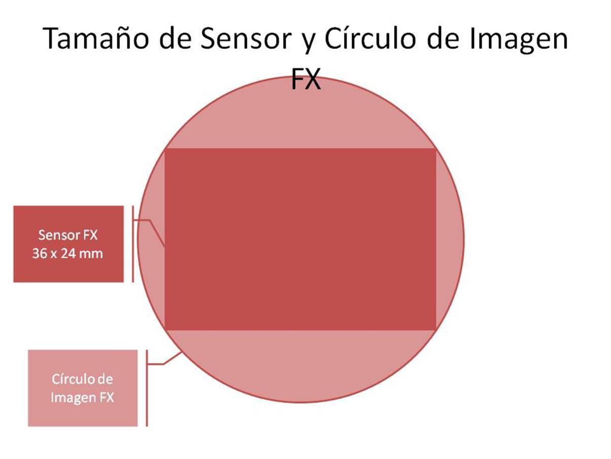 Sensores DX vs FX