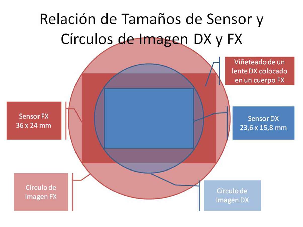 Sensores DX vs FX