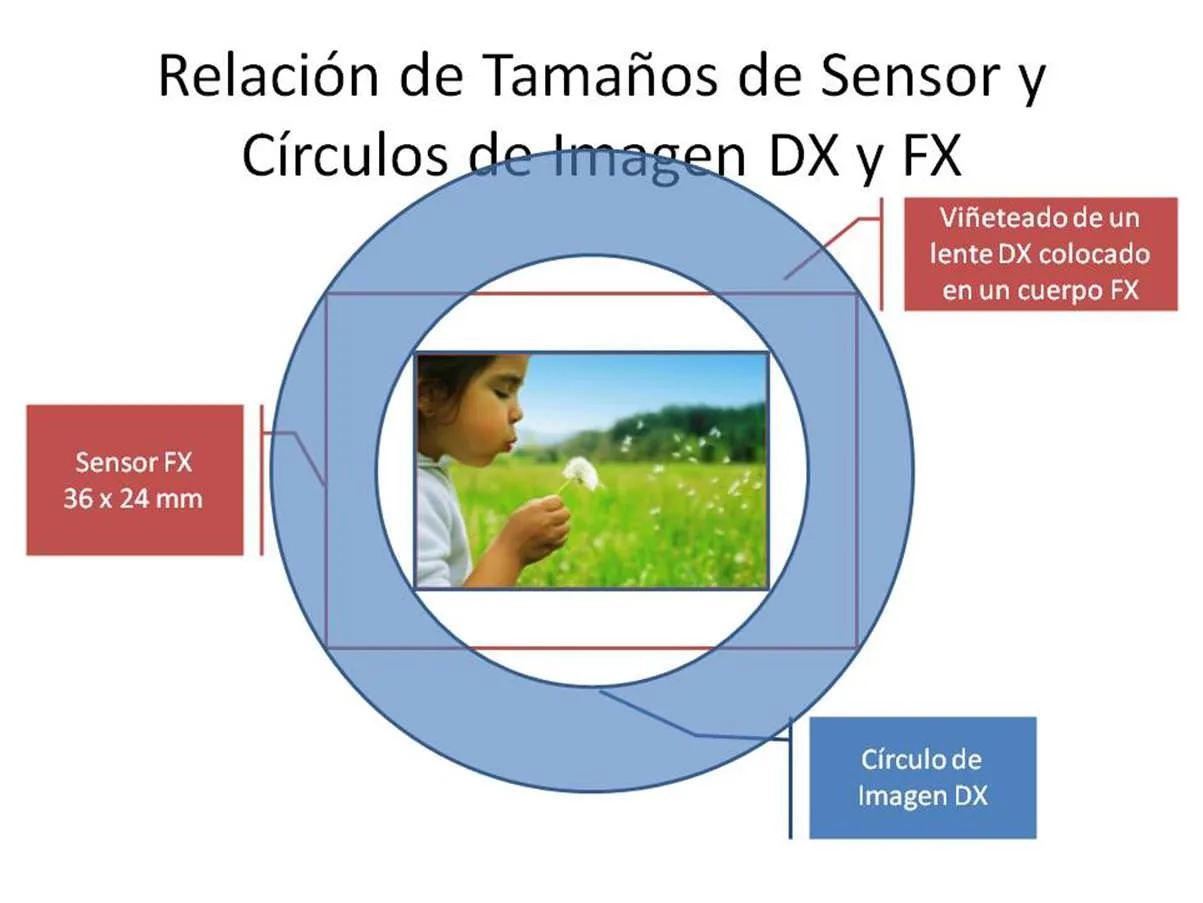 Sensores DX vs FX