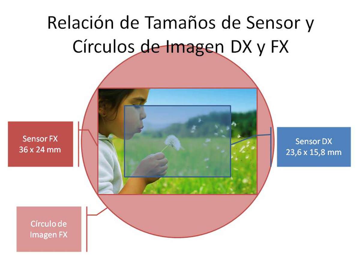 Sensores DX vs FX