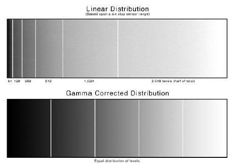 Distribución lineal y no lineal
