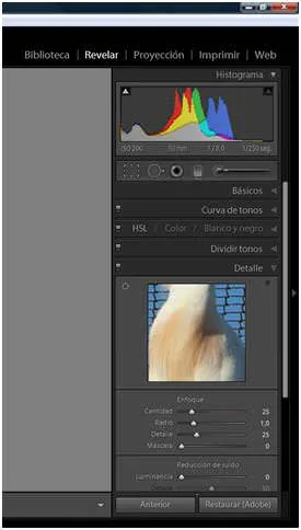 Módulo Revelar Adobe Lightroom