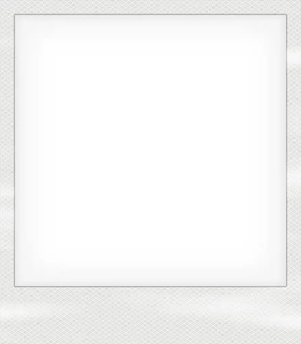 Polaroid tradicional