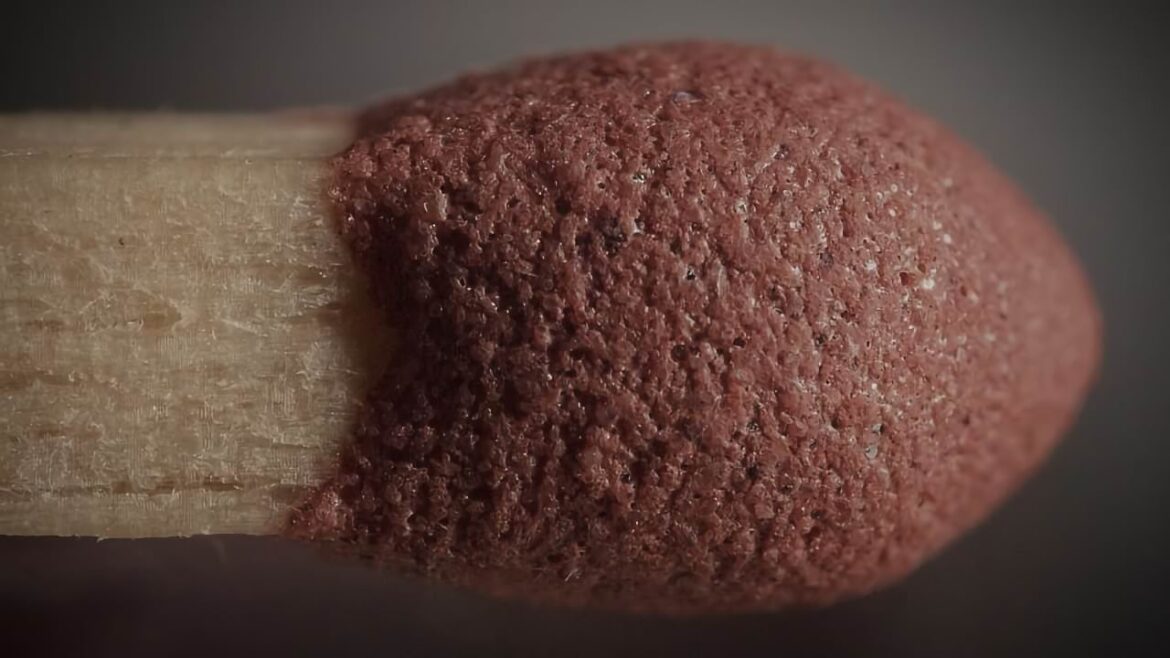 Macrofotografía Macrofotografía