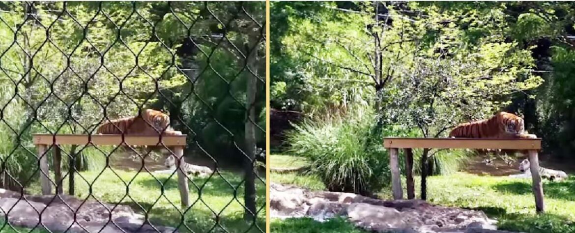 A Computational Approach for Obstruction-Free Photography