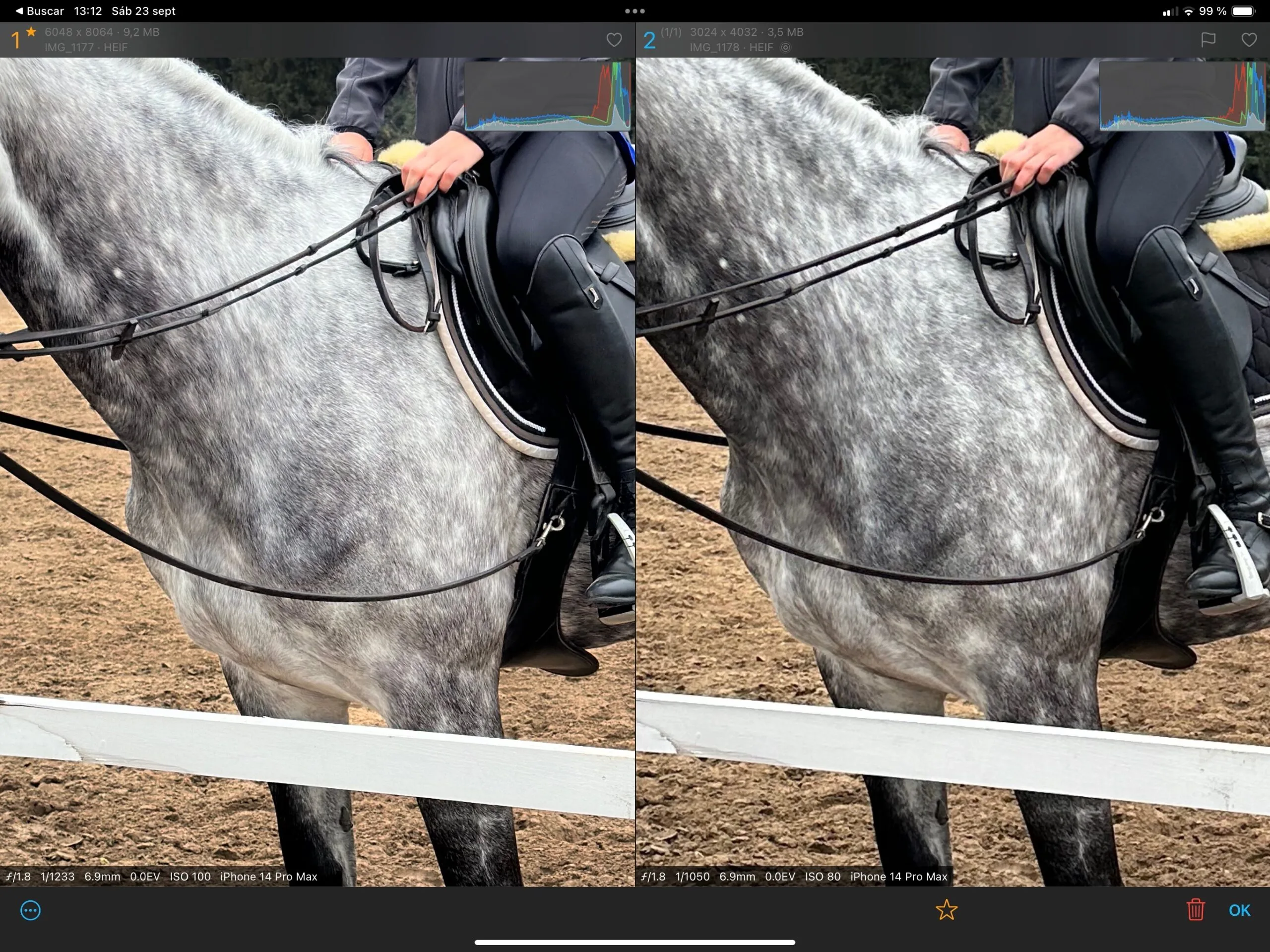 HEIF Max vs HEIF en iOS 17