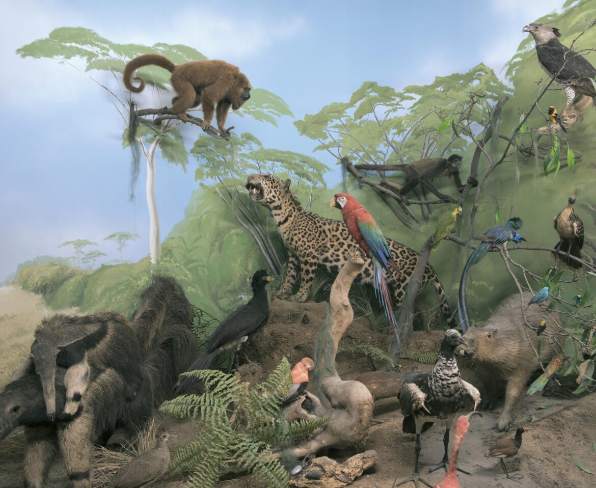 Zed Nelson y la cruda belleza de “The Anthropocene Illusion”