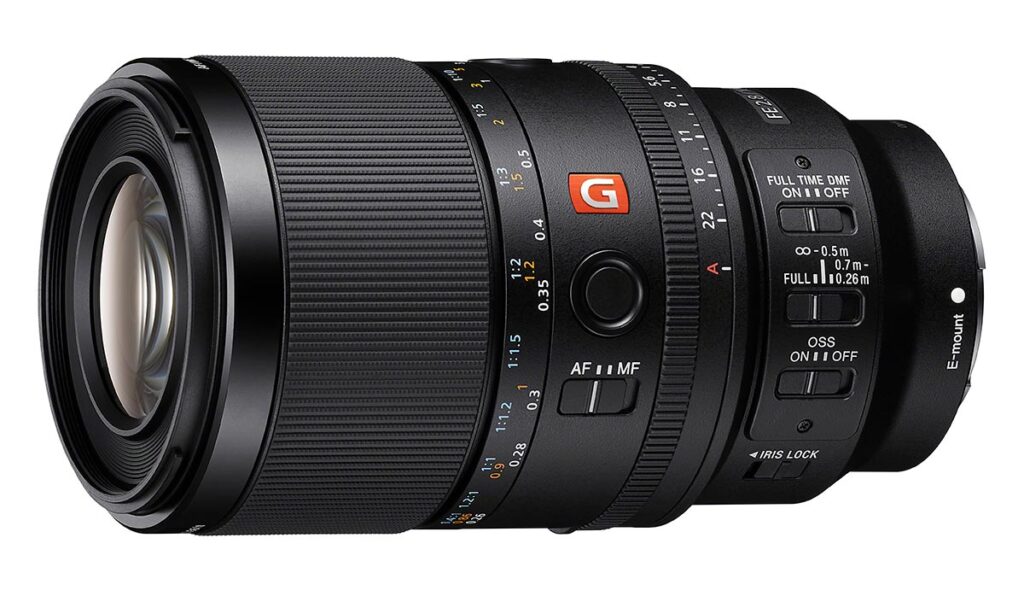 Sony 100mm Macro GM