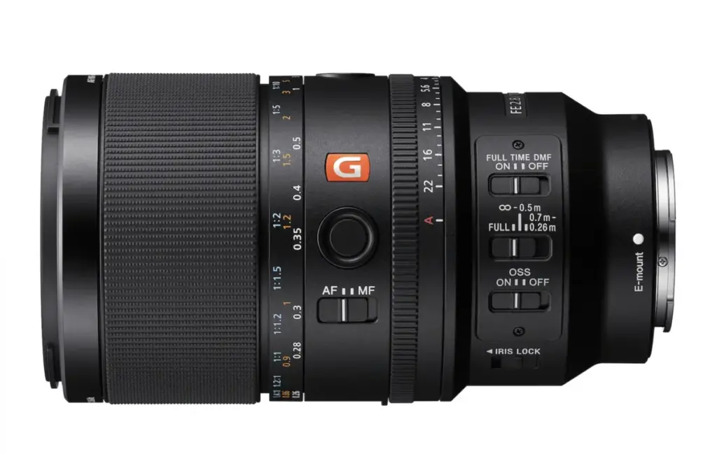 Sony 100mm Macro GM